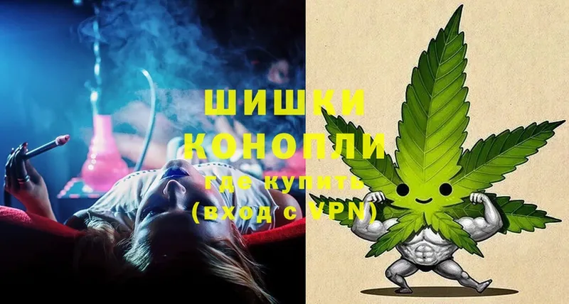 Шишки марихуана SATIVA & INDICA  ссылка на мегу маркетплейс  Кострома 